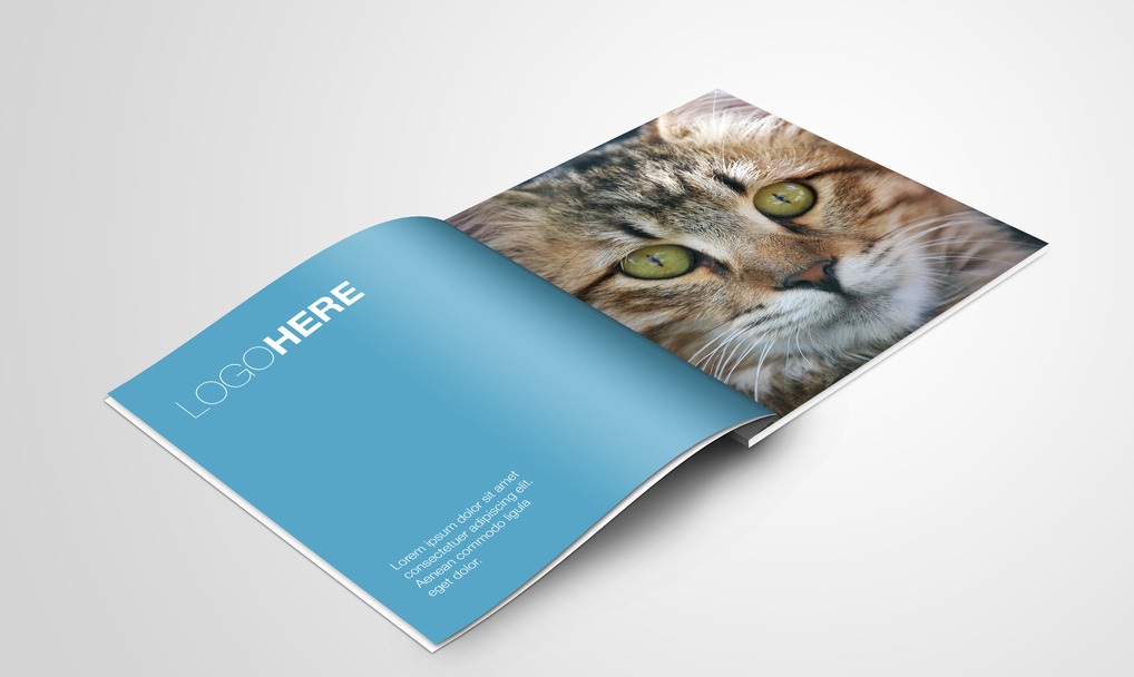 画册设计中的三大误解