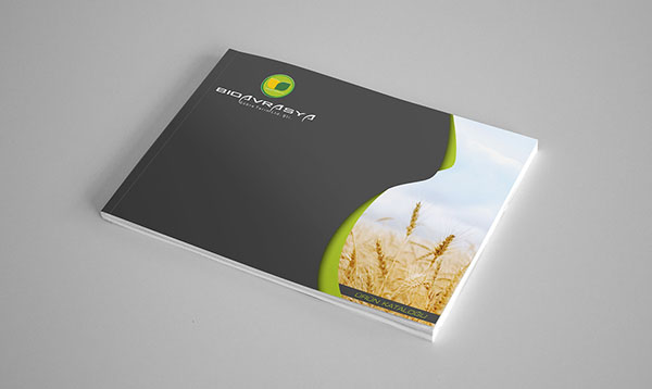 企业画册设计怎么才能受欢迎？