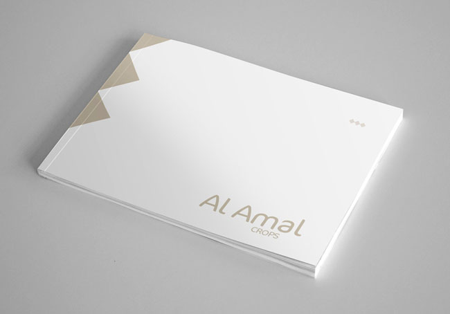 画册设计怎么抓住客户的眼球？