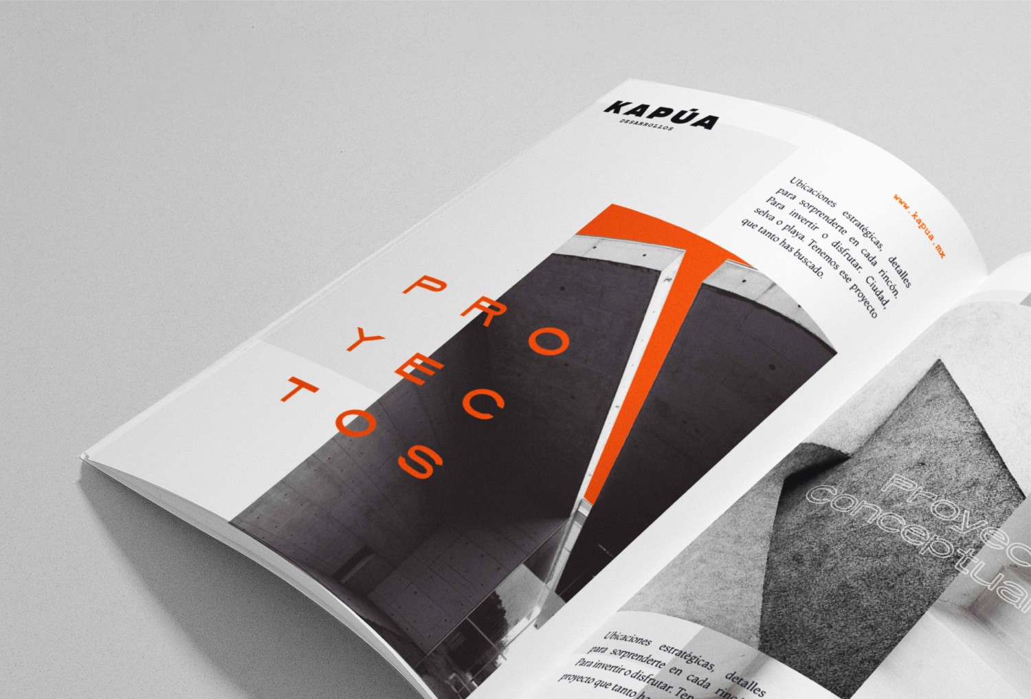 如何提升画册设计的吸引力？