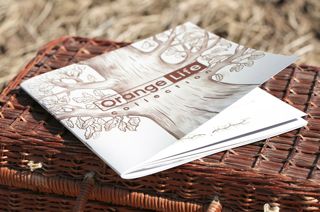 产品册设计要注意哪些方面？