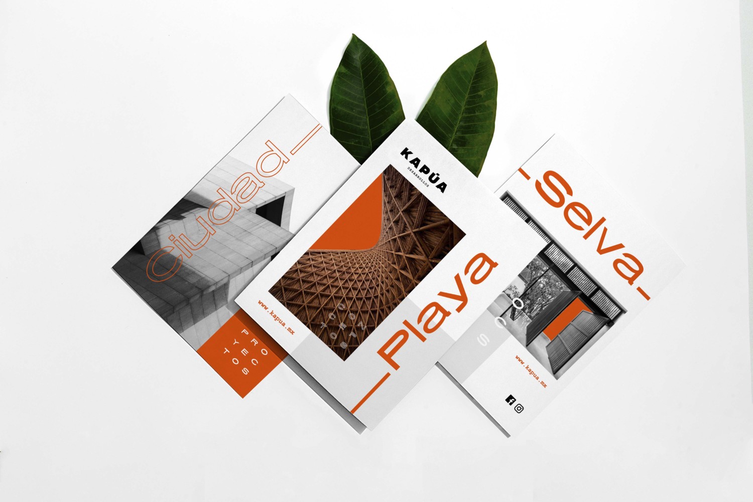 关于企业画册设计的流程详解