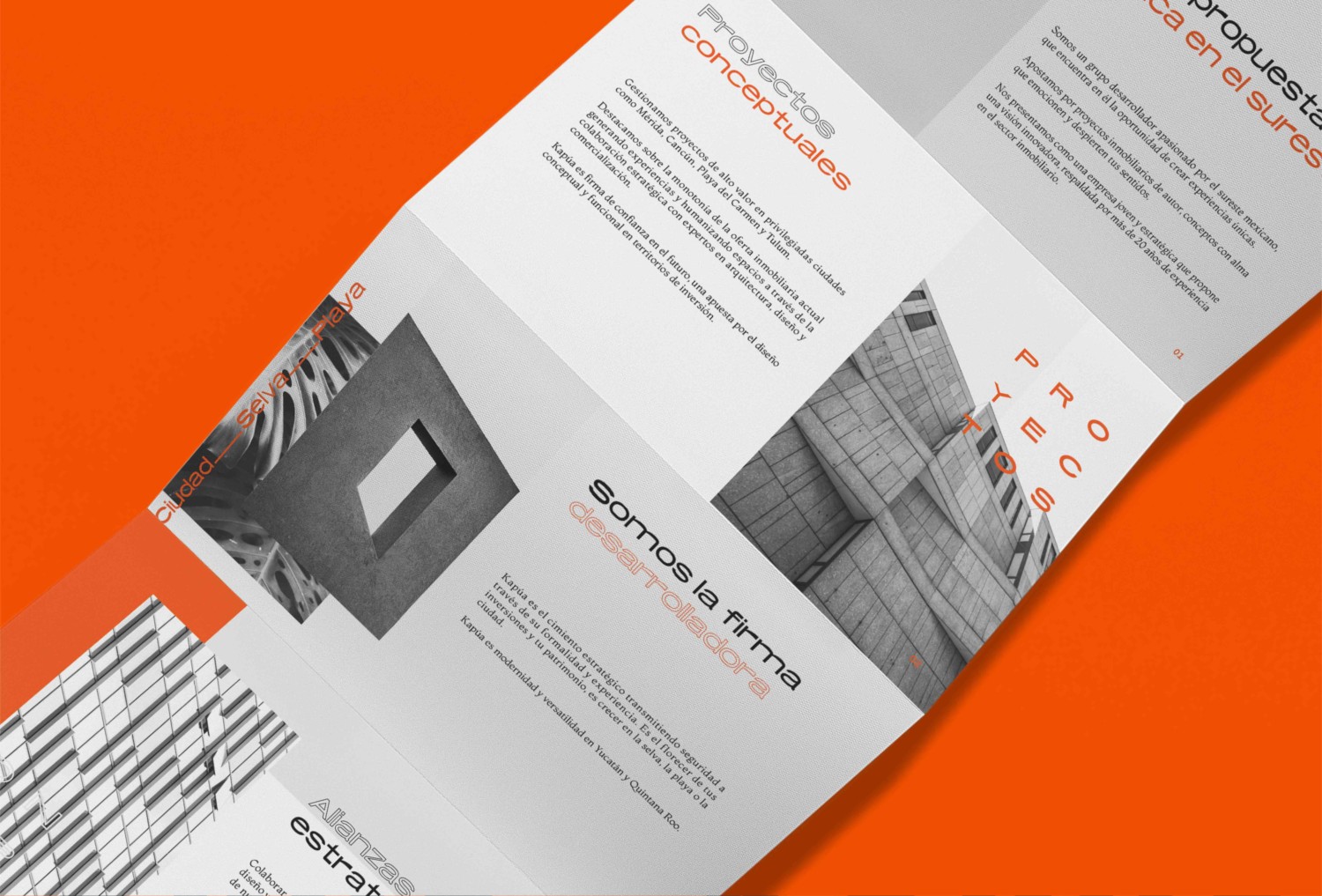 画册设计涵盖哪些内容？